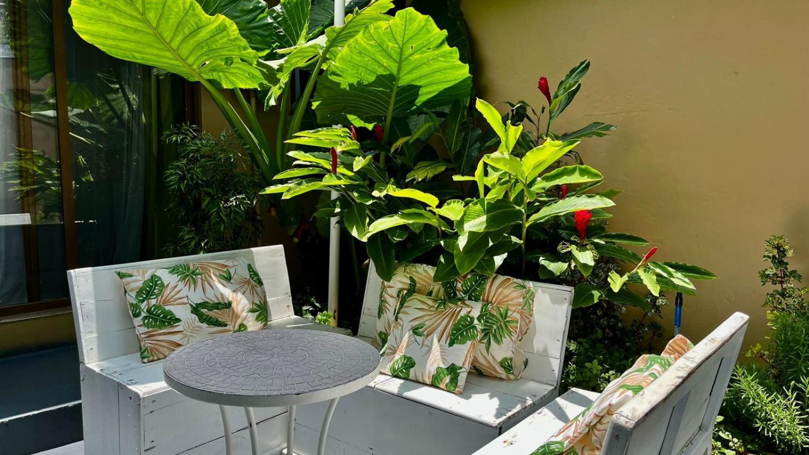 Freddy'S Place B&B Monteverde Екстериор снимка